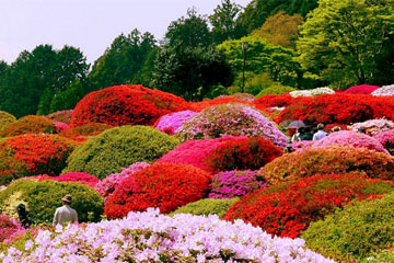 高冷的英文名女生简短